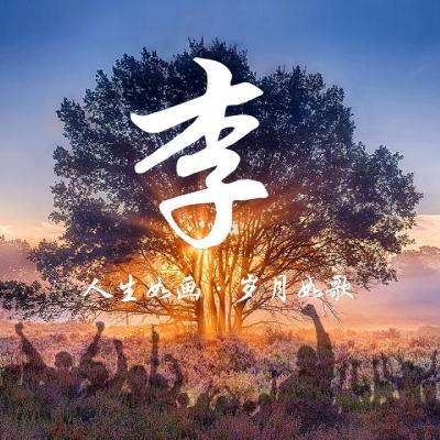 天天领皮app免费下载